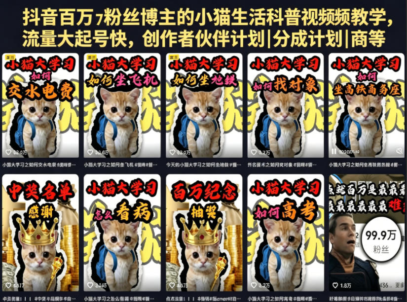 抖音百万粉丝博主的小猫生活科普视频教学,流量大起号快,创作者伙伴计划|分成计划|商单|收徒等-小艾项目网