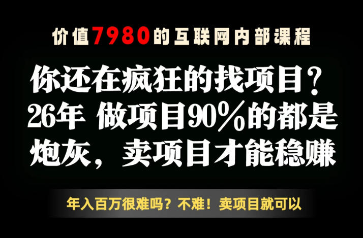 26年请不要疯狂的找项目了，卖项目远比你想象的暴利，你也可以月入10W+【揭秘】-小艾项目网