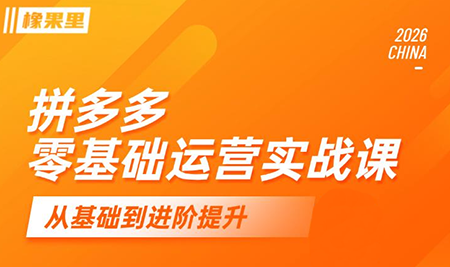 仙道电商·拼多多零基础运营实战课-小艾项目网