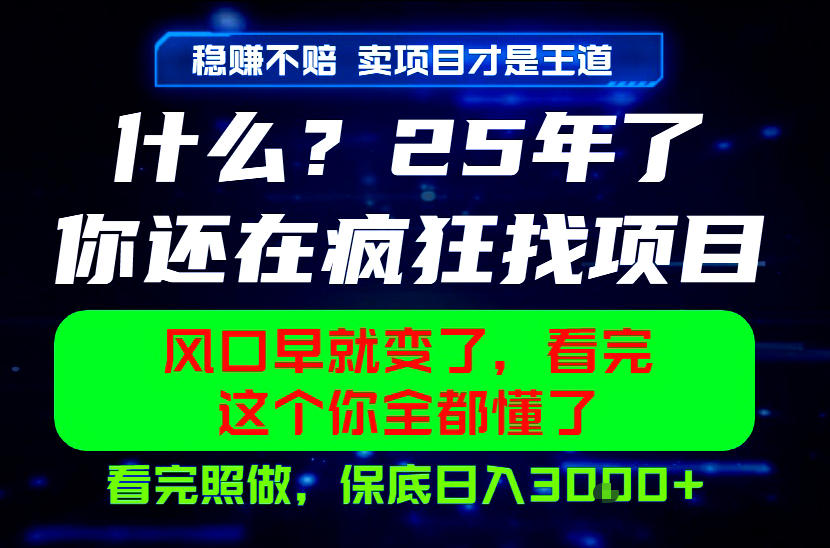 26年，请不要疯狂的找项目做了！卖项目才是真的稳賺不赔，看完照做，保底日入1k+【揭秘】-小艾项目网