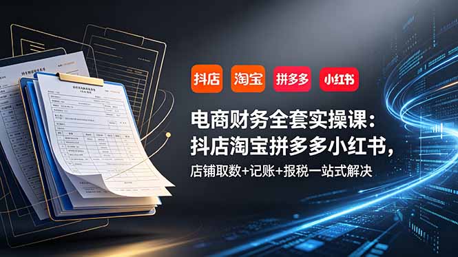 电商财务全套实操课:抖店淘宝拼多多小红书,店铺取数+记账+报税一站式解决-小艾项目网