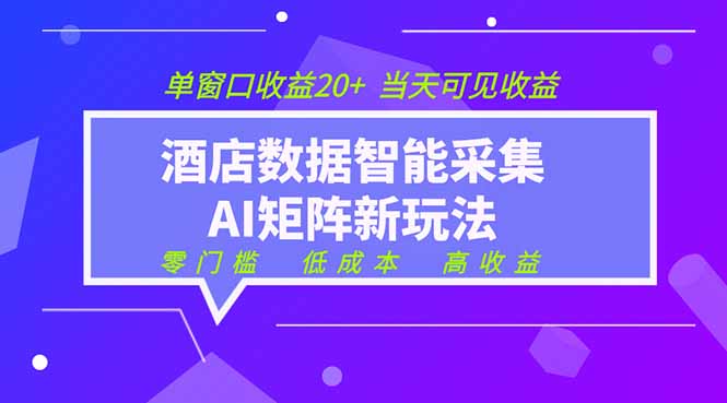 2026酒店数据采集ai智能矩阵新风口  低成本   高收益   当天见收益   单窗口20+-小艾项目网