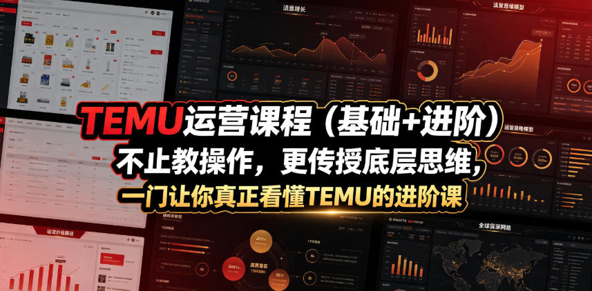 TEMU运营课程(基础+进阶)，不止教操作，更传授底层思维，一门让你真正看懂TEMU的进阶课-小艾项目网