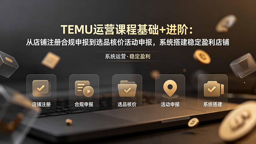 TEMU运营课程(基础+进阶-小艾项目网