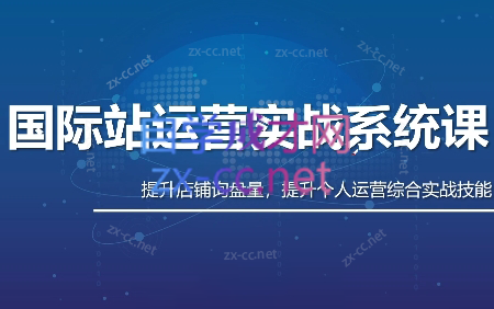 白老师·国际站运营实战系统(高质量询盘增长课)(更新)-小艾项目网