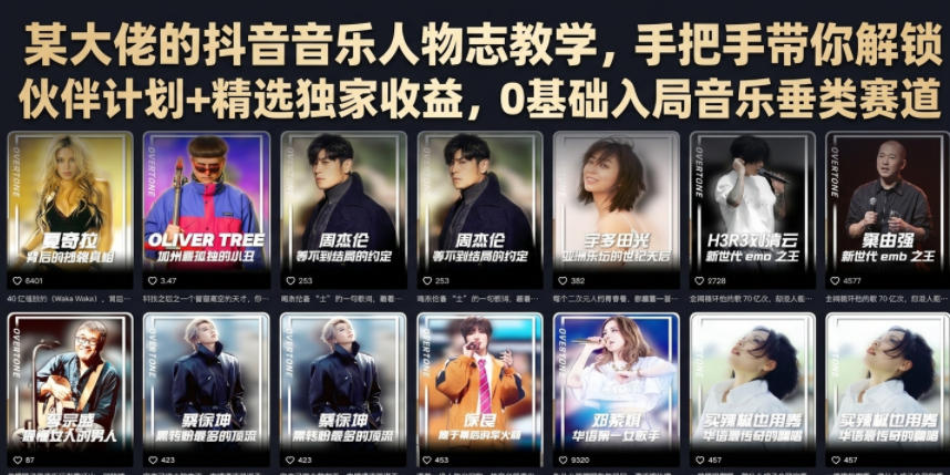 某大佬的抖音音乐人物志教学，手把手带你解锁伙伴计划+精选独家收益，0基础入局音乐垂类赛道-小艾项目网