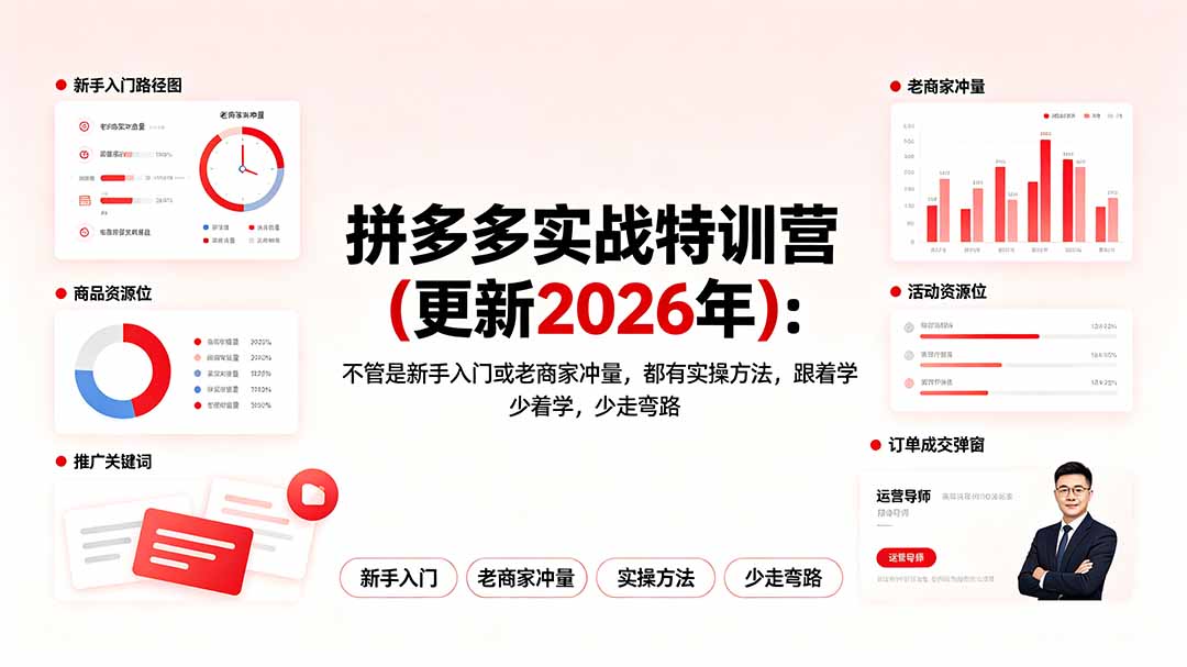 拼多多实战特训营(更新2026年-小艾项目网