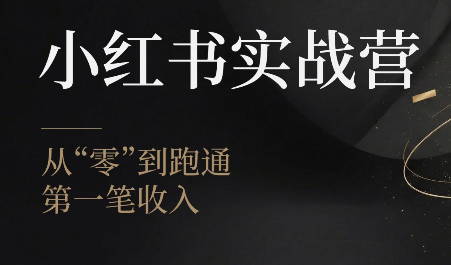 金金老师·小红书实战营-小艾项目网