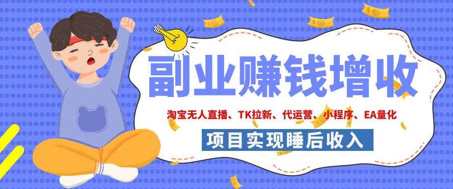 2026年多个真实落地副业项目，手把手带你搭建被动收入管道(淘宝无人直播、海外TK拉新、CSGO饰品交易、去水印小程序等)【揭秘】-小艾项目网