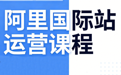 张国儒·阿里国际站运营课程(更新7月)-小艾项目网