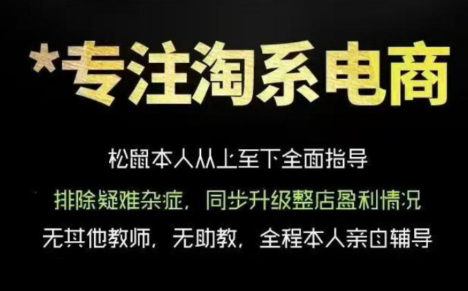 松鼠会电商VIP课程，从基础布局到高阶优化，助你掌握淘宝运营逻辑，提升店铺流量与转化(更新0809)-小艾项目网