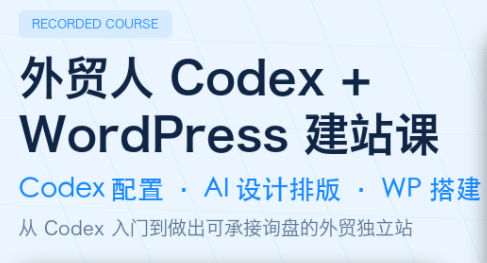 大卫·外贸人Codex + WordPress建站课(更新8月)-小艾项目网