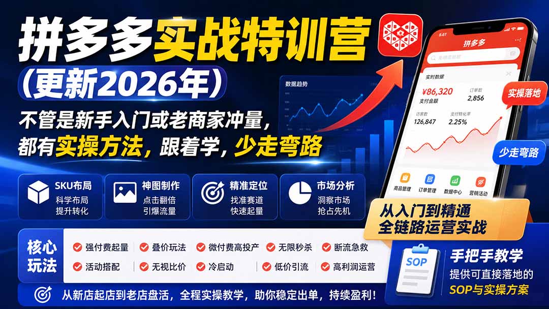 拼多多实战特训营(更新26年0821-小艾项目网