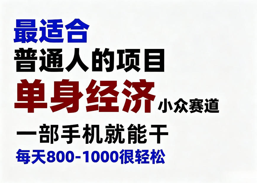 身经济小众赛道，一部手机就能干，每天搞个800-1000很轻松，最适合普通人的项目【揭秘】-小艾项目网