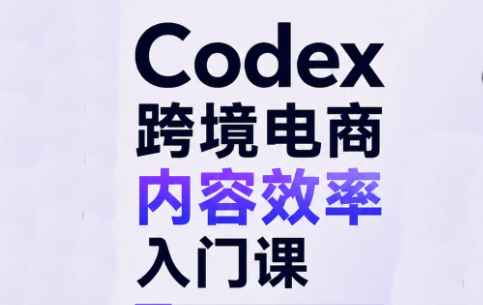 Codex跨境电商内容效率入门课-小艾项目网