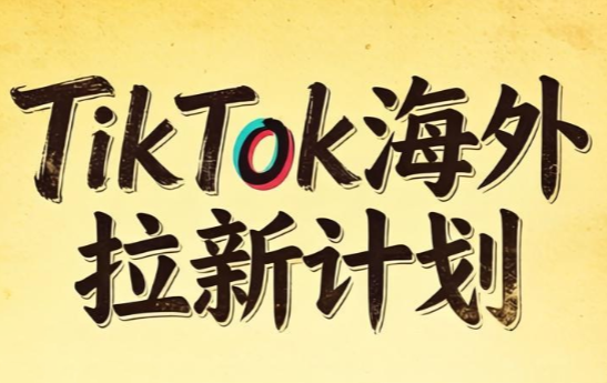 Tc联盟·TikTok海外拉新项目(更新9月)-小艾项目网