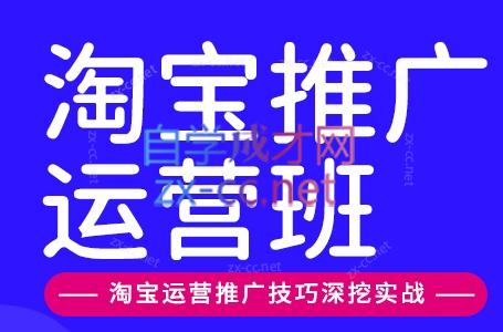 美迪电商·淘宝高级运营班+推广运营班(更新9月)-小艾项目网