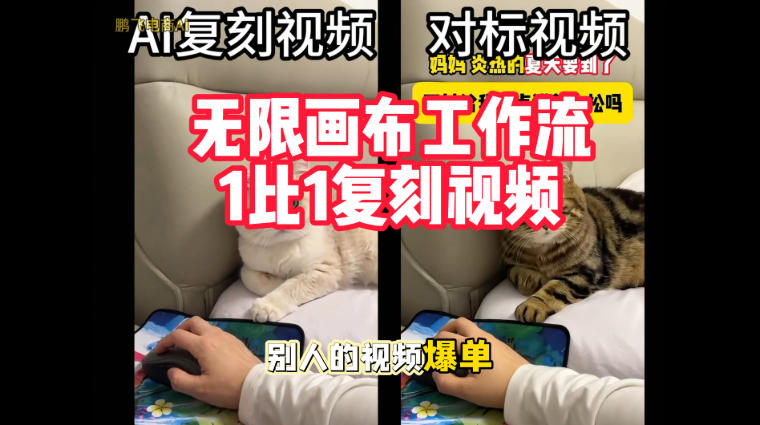 宠物带货视频复刻，无限画布工作流1比1，不用拍摄、不用布景、不用真人出镜，几分钟就能做出一条专业带货视频-资源宝库