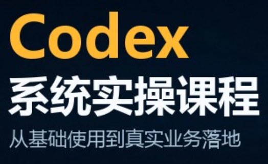 codex系统实操课程(更新10月)-资源宝库