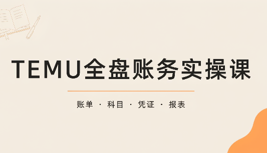 TEMU全盘账务实操课:账单导出、科目设置、利润核算-资源宝库