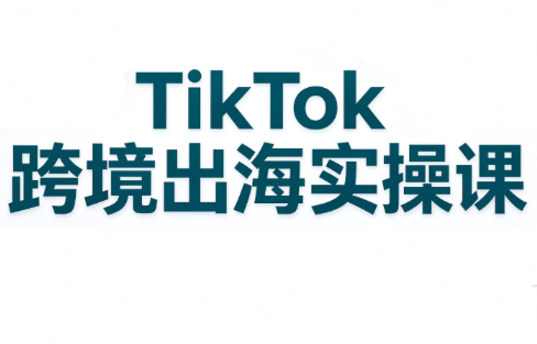 彭老师·TikTok跨境出海实操课-小艾项目网