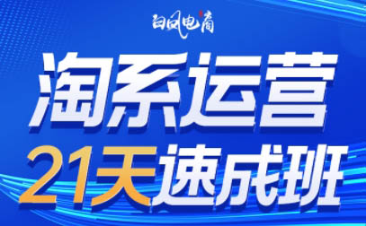 白凤电商·淘系运营21天速成班(更新10月)-小艾项目网