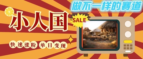 DeepSeek+绘图+视频制作小人国微观视频，小白轻轻松松上手，条条爆款，条条变现，单日就能收益-小艾项目网