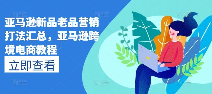 亚马逊新品老品营销打法汇总，亚马逊跨境电商教程-小艾项目网