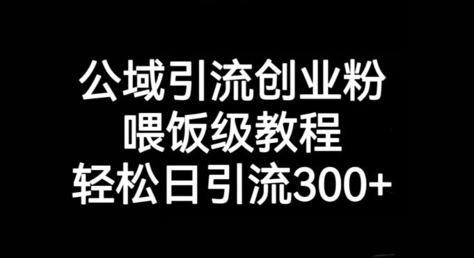 公域引流创业粉，喂饭级教程，轻松日引流300+【揭秘】-小艾项目网