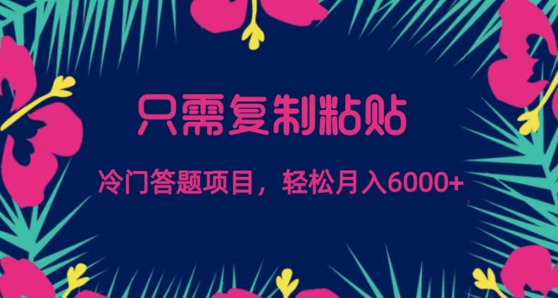 只需复制粘贴，冷门答题项目，轻松月入6000-小艾项目网