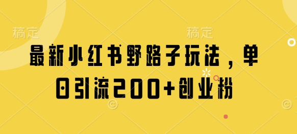 最新小红书野路子玩法，单日引流200+创业粉-小艾项目网