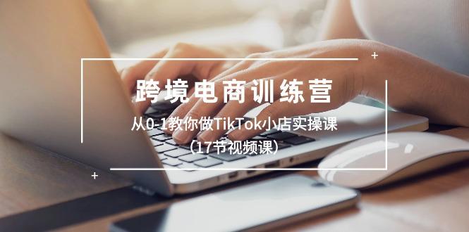 跨境电商训练营：从0-1教你做TikTok小店实操课(17节视频课-小艾项目网