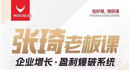 【组合课】张琦张琦老板企业增长·盈利爆破系统（直播专享）-小艾项目网