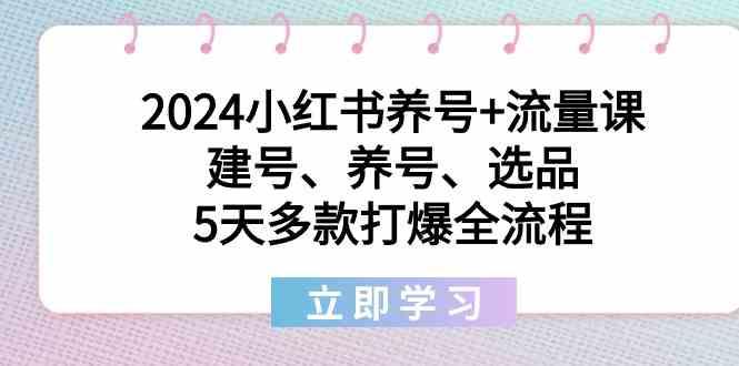 2024小红书养号+流量课：建号、养号、选品，5天多款打爆全流程-小艾项目网