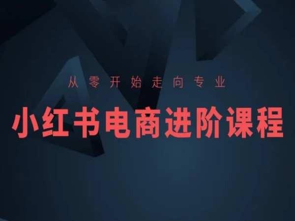 从零开始走向专业，小红书电商进阶课程-小艾项目网