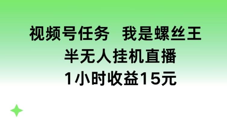 视频号任务，我是螺丝王， 半无人挂机1小时收益15元【揭秘】-小艾项目网
