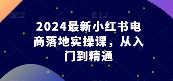 2024最新小红书电商落地实操课，从入门到精通-小艾项目网
