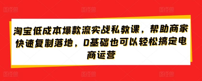 淘宝低成本爆款流实战私教课，帮助商家快速复制落地，0基础也可以轻松搞定电商运营-小艾项目网