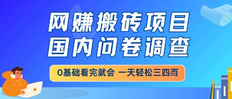 网创搬砖项目，国内问卷调查，小白轻松上手，一天三四张的也不难，干就完了【揭秘】-小艾项目网