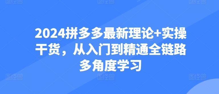 2024拼多多最新理论+实操干货，从入门到精通全链路多角度学习-小艾项目网