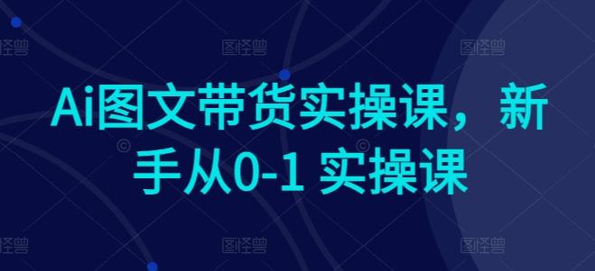 Ai图文带货实操课，新手从0-1 实操课-小艾项目网