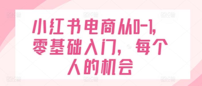 小红书电商从0-1，零基础入门，每个人的机会-小艾项目网