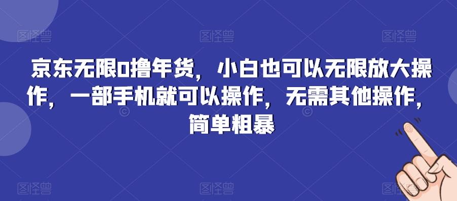 京东无限0撸年货，小白也可以无限放大操作，一部手机就可以操作，无需其他操作，简单粗暴-小艾项目网