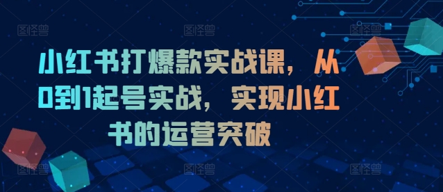 小红书打爆款实战课，从0到1起号实战，实现小红书的运营突破-小艾项目网