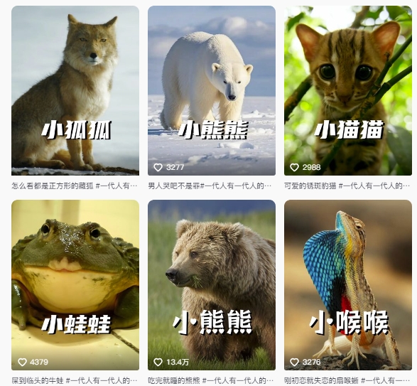 最新搞笑动物百科详细解说课程，蓝海赛道，流量非常大，轻松签独家进精选-小艾项目网