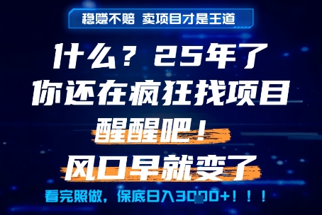 什么？25年你还在疯狂找项目做，醒醒吧，看完这些你全都懂了！【揭秘】-小艾项目网