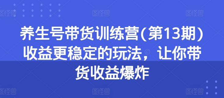 养生号带货训练营(第13期)收益更稳定的玩法，让你带货收益爆炸-小艾项目网