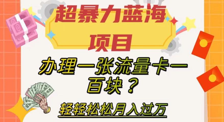 超暴力蓝海项目，办理一张流量卡一百块？轻轻松松月入过万，保姆级教程【揭秘】-小艾项目网