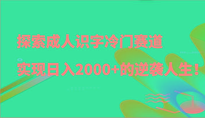 探索成人识字冷门赛道，实现日入2000+的逆袭人生！-小艾项目网