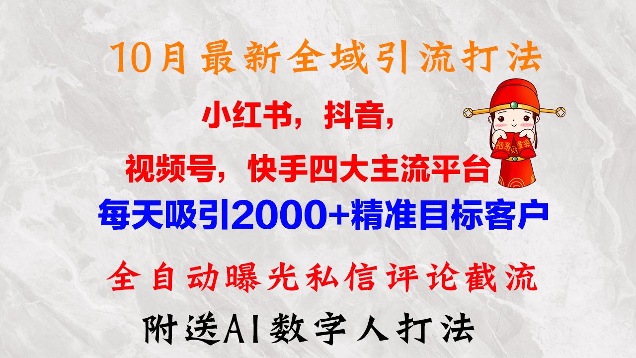 10月最新小红书，抖音，视频号，快手四大平台全域引流，，每天吸引2000...-小艾项目网